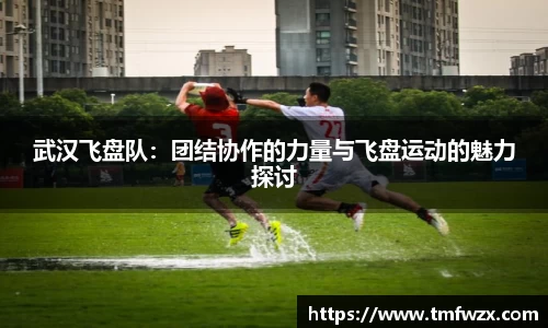 雷火电竞官方网站入口